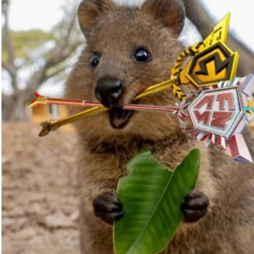 @SandoraFN - Кибер Новости - 