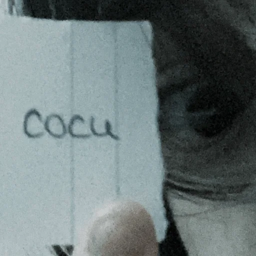 цитаты зюзи - почерк