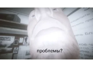 Sticker Цитатник чего-то - 3