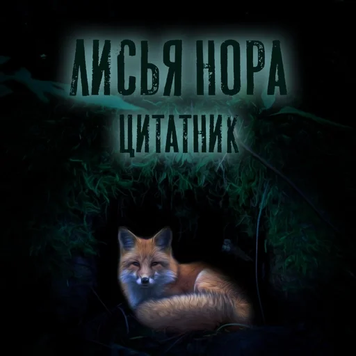 Цитатник 🦊Лисьей норы🦊 :: @fStikBot - СМС