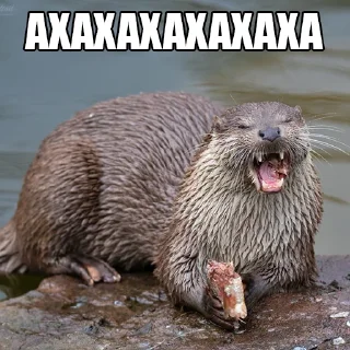 Стикер @citatyanimal Выдры - 6