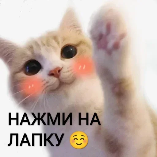 Sticker cjkymabwxt_by_WeStickerbot - 1