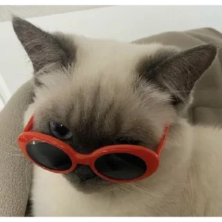 Стикер @chmo_x @chmo_x @chmo_x - 11