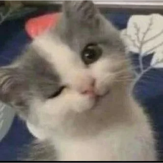 Стикер @chmo_x @chmo_x @chmo_x - 7