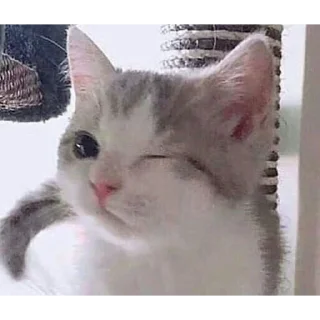 Стикер @chmo_x @chmo_x @chmo_x - 1