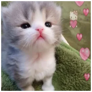 Стикер @chmo_x @chmo_x @chmo_x - 0