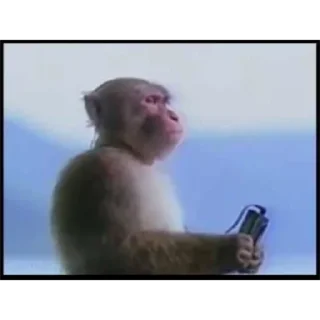 Sticker adhd vs autism rap battle @cklatcddtd - 11