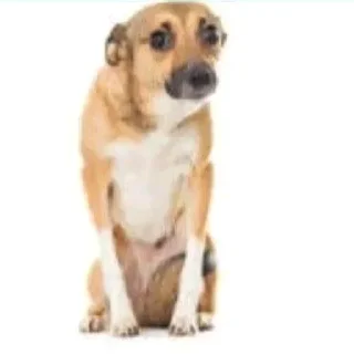 Sticker adhd vs autism rap battle @cklatcddtd - 1