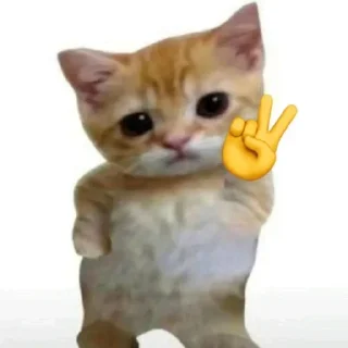 Sticker Больше стиков тут: @stickery_stickers - 1