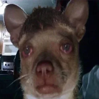 Стикер @stickers_gifs0 :: @stickers_generator_bot - 4