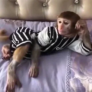 Стикер @stickers_gifs0 :: @stickers_generator_bot - 10