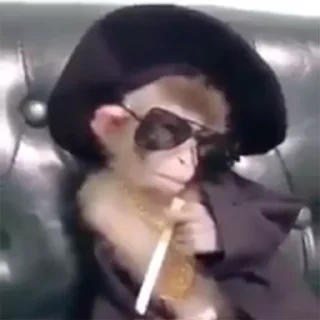 Стикер @stickers_gifs0 :: @stickers_generator_bot - 9