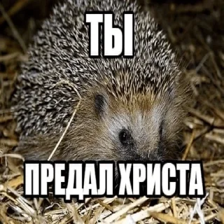 Стикер Православие☦ - 9