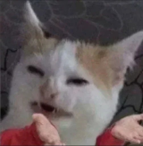 Стикер cleanflash - 1