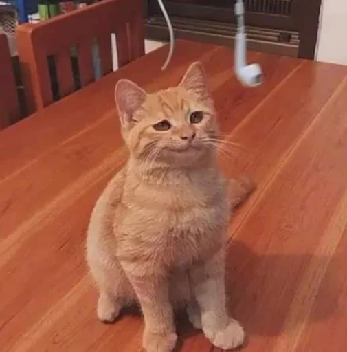 Sticker cleanflash - 1