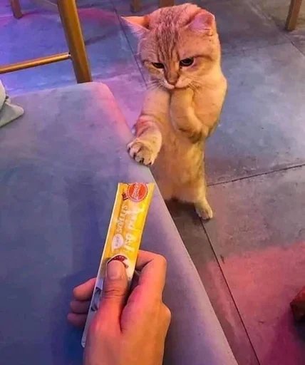 Стикер cleanflash - 1