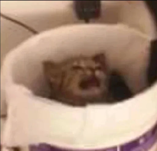 Sticker cleanflash - 1