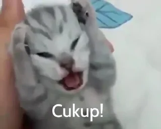 Sticker @cleanflash - 6