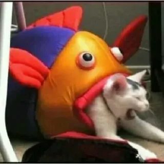 Sticker @cleanflash - 9