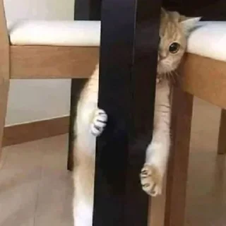 Sticker @cleanflash - 7