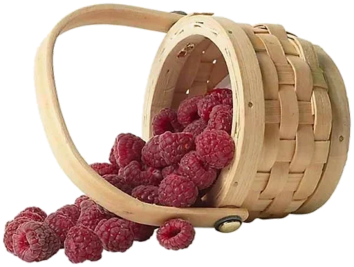 fruit food berry