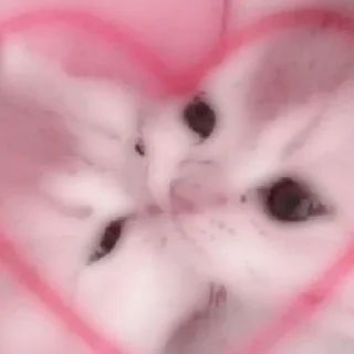 Sticker closticks13! @clothing_insider - 0