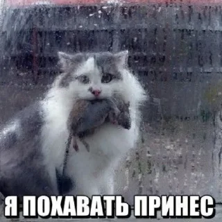 Sticker closticks13! @clothing_insider - 9