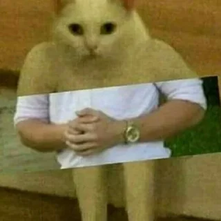 Sticker closticks13! @clothing_insider - 2