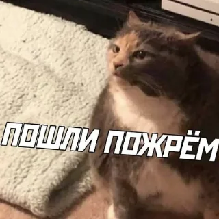 Sticker closticks13! @clothing_insider - 7