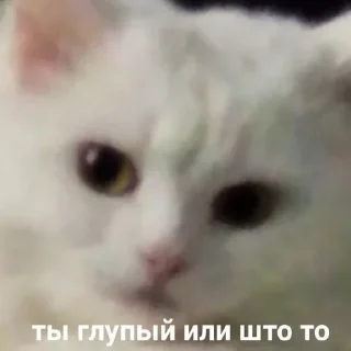 Sticker closticks13! @clothing_insider - 8