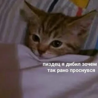 Sticker closticks13! @clothing_insider - 10