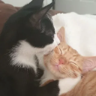 Sticker closticks13! @clothing_insider - 6