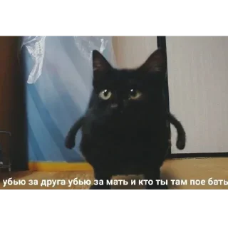 Sticker closticks13! @clothing_insider - 11