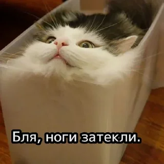 Sticker closticks13! @clothing_insider - 1