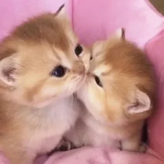 Sticker closticks9! @clothing_insider - 11