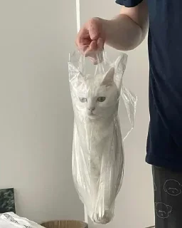 Sticker closticks9! @clothing_insider - 0