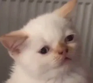 Sticker closticks9! @clothing_insider - 7