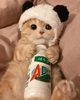 Sticker closticks9! @clothing_insider - 2