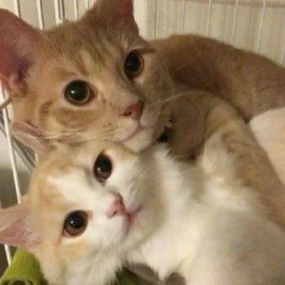 Sticker closticks9! @clothing_insider - 8