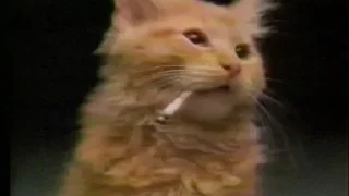 Sticker closticks9! @clothing_insider - 1