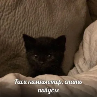 Sticker closticks4! @clothing_insider - 9