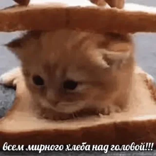 Sticker closticks4! @clothing_insider - 6