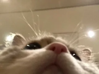 Sticker closticks4! @clothing_insider - 8