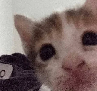 Sticker closticks4! @clothing_insider - 10