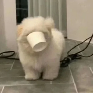 Sticker closticks4! @clothing_insider - 0