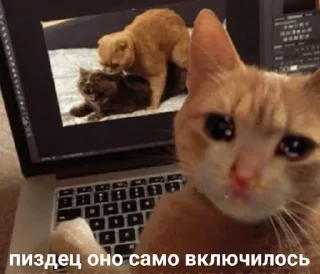 Sticker closticks4! @clothing_insider - 3