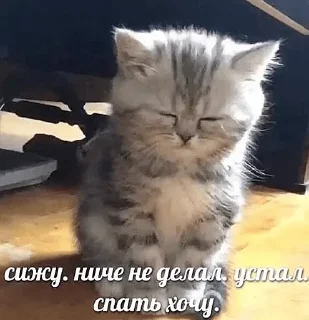 Sticker closticks4! @clothing_insider - 2