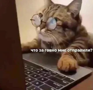 Sticker closticks4! @clothing_insider - 1