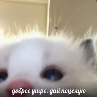 Sticker closticks4! @clothing_insider - 11