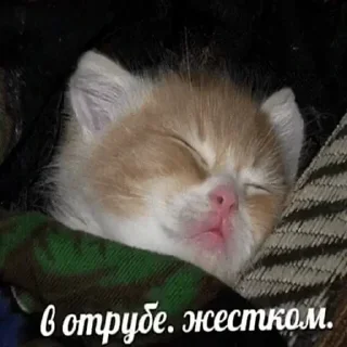 Sticker closticks4! @clothing_insider - 7